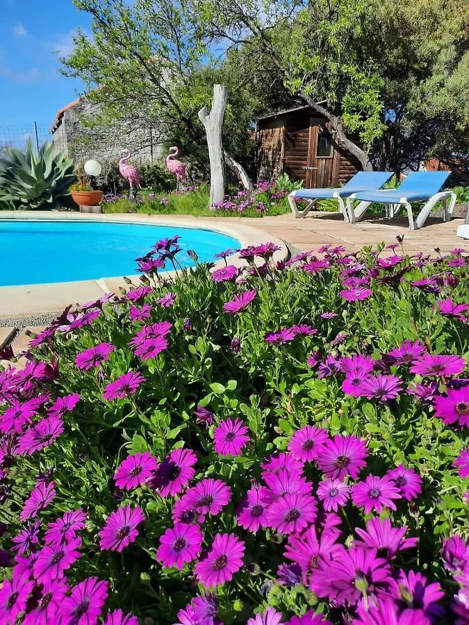 Casita Miramar Διαμέρισμα El Paso